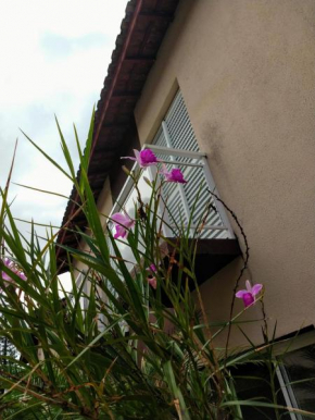 Casa em condomínio - Enseada